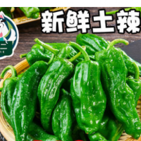 Wang Xiaoer Hubei local hot pepper fresh green pepper farmhouse long pepper vegetables package mail