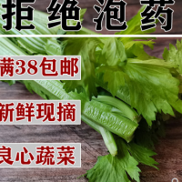 Fresh celery 500g, no medicine, celery juice, green and pollution-free vegetables celery fresh celer